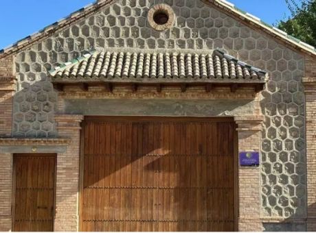 pinos-peregrino-1